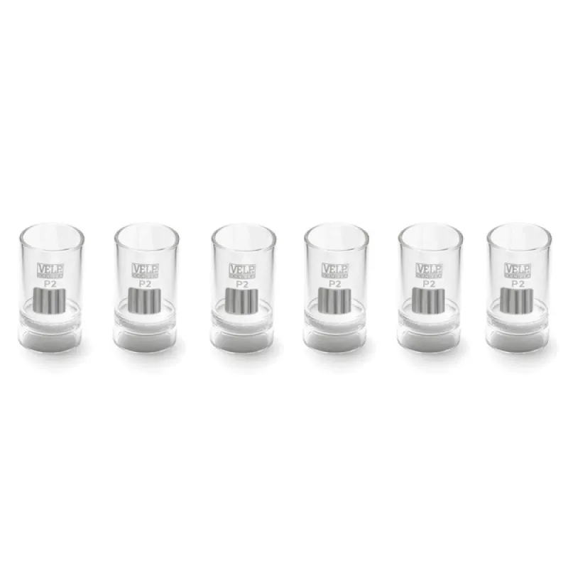 VELP Gooch Kroze P2 40-100 μm (6 Adet)
